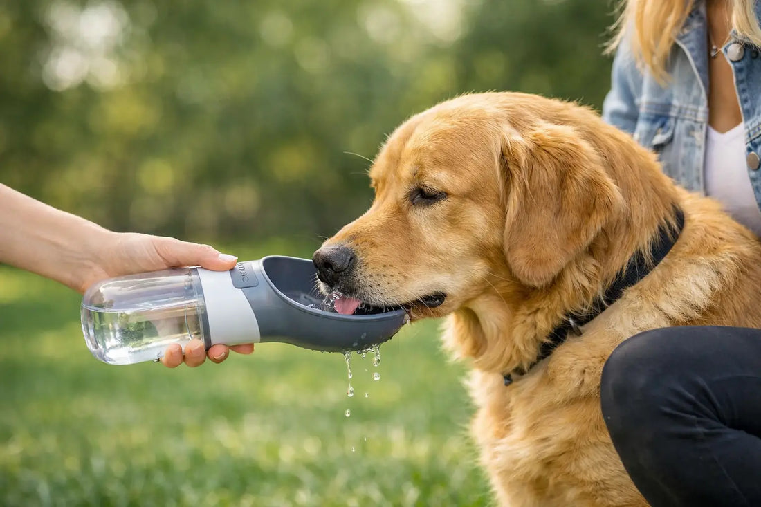 PetFlow Mobile Water Dispenser for Dogs