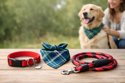 Pet Collars, Bandanas & Leashes | Pet Haven