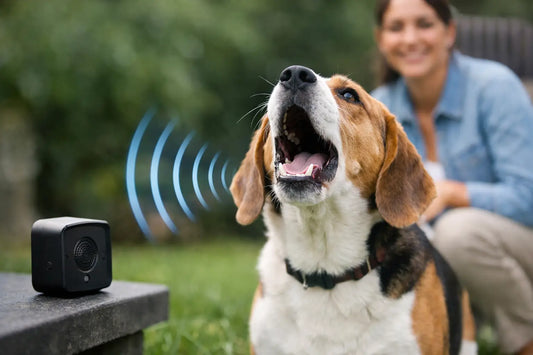 Are Ultrasonic Bark Devices Humane for Dogs?