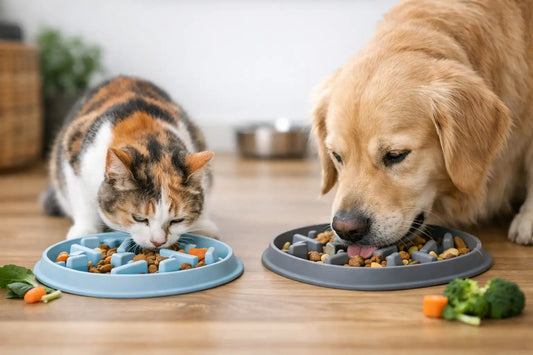 Silicone Slow Food Plate for Dogs & Cats